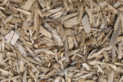 biomass boilers Spindlestone